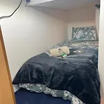 Park Tiny Loft Bed Studio